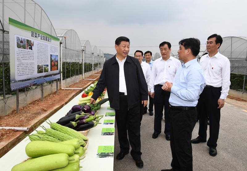 5月20日至22日，中共中央总书记、国家主席、中央军委主席习近平在江西考察，主持召开推动中部地区崛起工作座谈会并发表重要讲话。这是习近平在赣州市于都县梓山富硒蔬菜产业园考察调研。